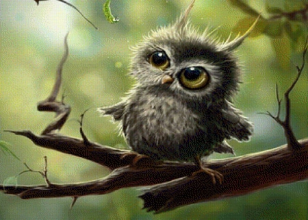 Whooooo Are You - tree, owl, cute, eyes