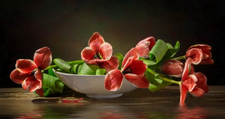 Blossoming tulips - flowers, blossoms, tulips, beautiful