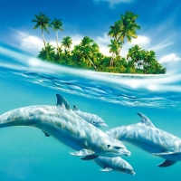 Dolphins