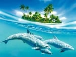 Dolphins