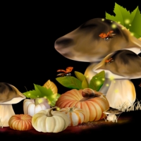 Pumpkins and Mushrooms