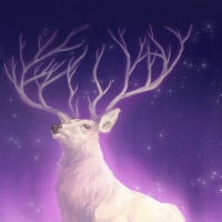 Aurora stag