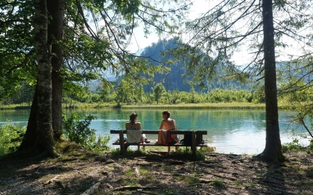 Lake Almsee, Austria - trees, bench, lake, Austria, mountains