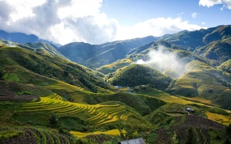 Mountains with Terraces - terraces, landscape, mountains, nature