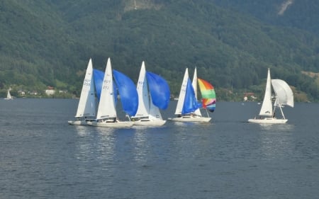 Sailing in Austria - lake, sailboats, sailing, austria, yachts