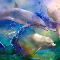 Dolphin Dreams