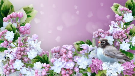 Loving Lilacs - bird, blooms, blossoms, lavender, plumeria, spring, lilacs, flowers, frangipani