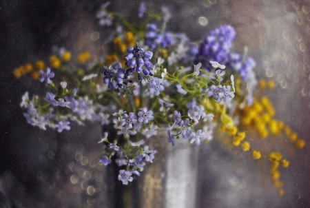 Still Life - yellow, flower, still life, blue