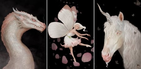 Albino creatures - toby fox, collage, girl, albino, wings, fantasy, white, pink, luminos, creature, dragon, fairy, unicorn