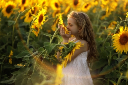 â™¥ - sunflower, vara, girl, summer, child, copil, flower, blonde, little