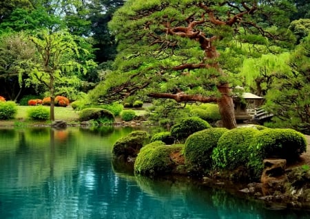 Park in summer - park, greenery, summer, gazebo, serenity, tranquility, reflection, calmness, beautiful, pond