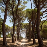 Avenue in Pastida, Greece