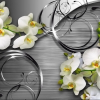 Orchids background