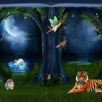 Nighttime In The Forest