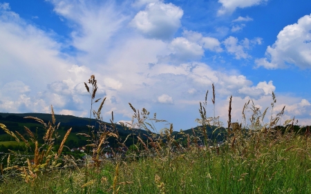 Meadow - clouds, grass, meadow, summer