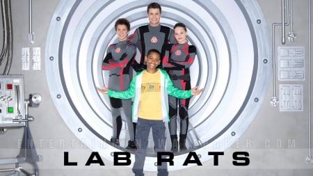 Lab Rats