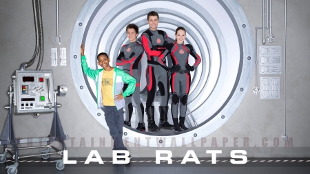 Lab Rats