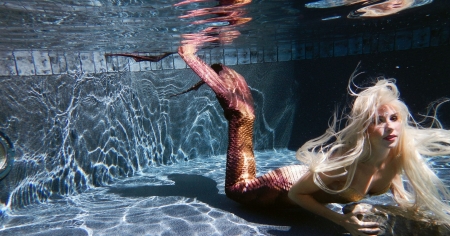 Mermaid - girl, vara, mermaid, siren, water, summer, fantasy, underwater