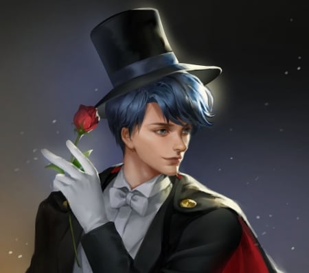 Mamoru Chiba - tuxedo mask, anime, flower, man, sailor moon, black, manga, red, rose, mamaoru chiba