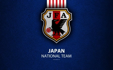 Japan National Football Team