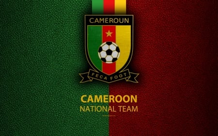 Cameroon National Football Team - sport, football, cameroon, fifa, africa, soccer, logo