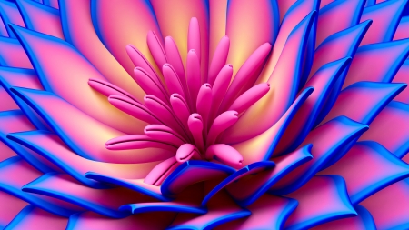 Flower - flower, pink, purple, beautiful