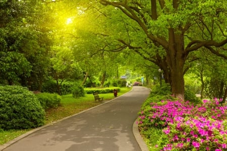 Spring park - freshness, trees, greenery, park, spring, pretty, walk, beautiful, alley, sunny, flowers