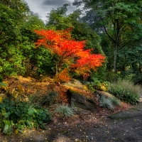 Botanical garden in Vancouver