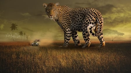 Giant leopard - leopard, giant, car, safari, creative, fantasy