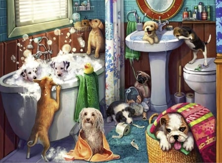 Bath time - animal, funny, bath, dog, caine, puppy, art