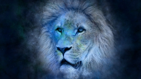 Lion - face, lion, leu, blue, gerd altmann, fantasy