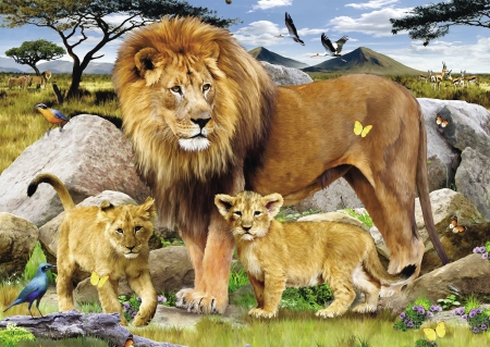 Lions - animal, cub, cute, lion, family