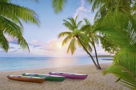 ♥ - water, summer, blue, beach, boat, sea, green, vara, palm tree