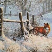 Fox