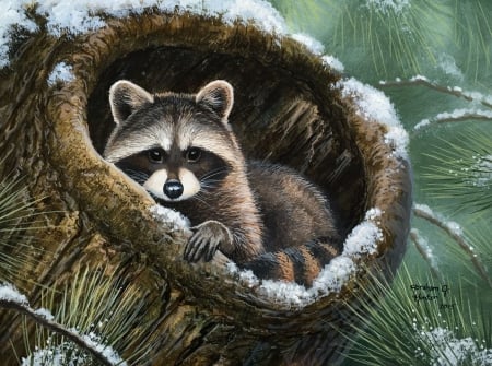 Raccoon - winter, raccoon, abraham hunter, tree, pictura, animal, green, painting, raton, art