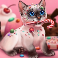 Candy kitty