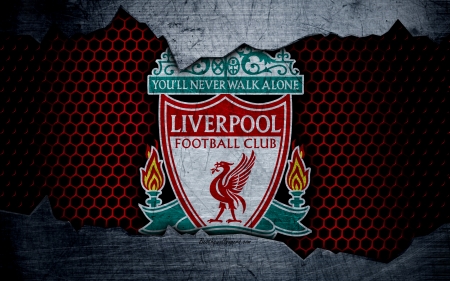 Liverpool F.C. - liverpool fc, lfc, ynwa, football, liverpool, soccer, logo