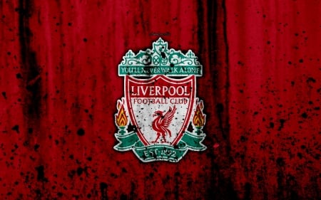 Liverpool F.C. - sport, liverpool fc, lfc, ynwa, liverpool, soccer, logo