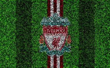 Liverpool F.C. - sport, liverpool fc, lfc, ynwa, liverpool, soccer, logo