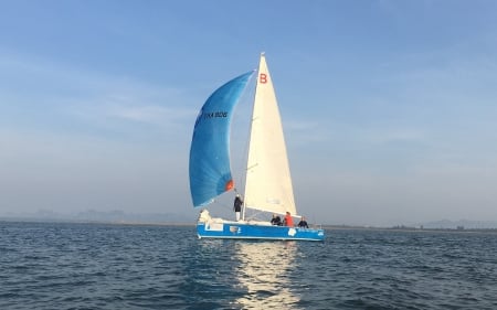 Sailboat - white, blue, sailboat, sea, yacht