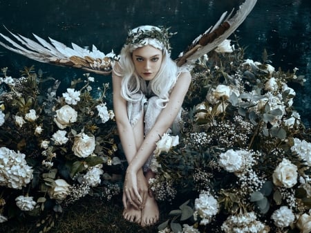 Angel - white, woman, girl, angel, bella kotak, wings, model, flower