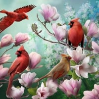 Red Cardinals and magnolias