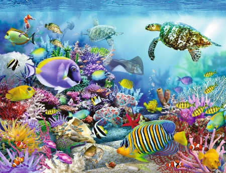 â™¥ - ocean, vara, water, colorful, summer, exotic, underwater, fish, sea, peste