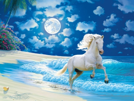 Moonlite dance - beach, sky, water, fantasy, white, painting, art, cloud, luminos, luna, moon, dance, frumusete, night, summer, horse, cal, pictura, sea