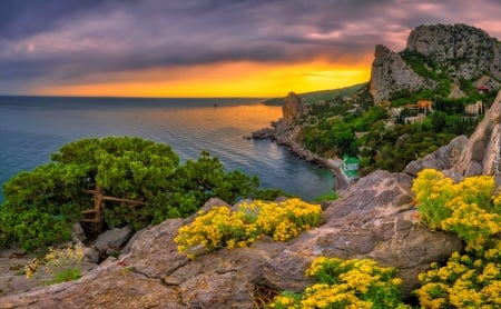 Sunset - summer, rocks, coast, view, beautiful, wildflowers, sunset, sea