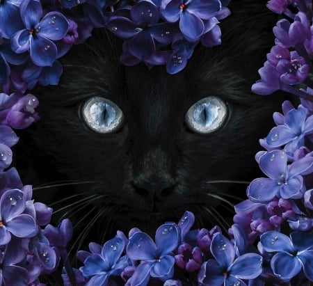 â™¥ - skin, cat, eyes, pisici, black, spring, purple, lilac, flower