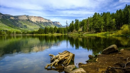 LAKE - nature, lake, fishing, forest, mountains