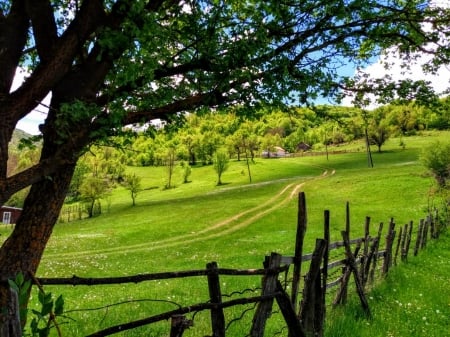 beautiful place - hill, house, rails, trees