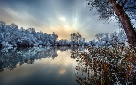 Winter Lake - Grass, Nature, Winter, Forst, Lake