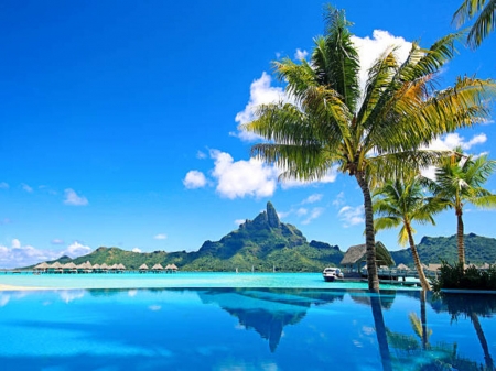 Bora Bora Island - sky, palm trees, pool, resorts, island